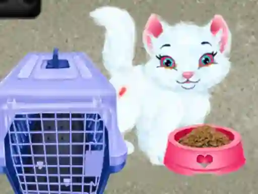 Permainan Baby Taylor Pet Care secara online
