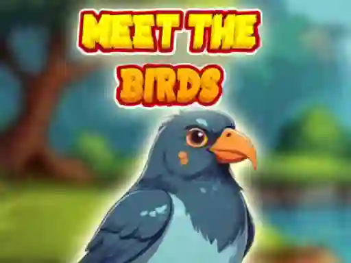 Permainan Meet The Birds secara online