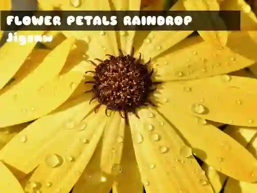 Permainan Flower Petals Raindrop Jigsaw secara online