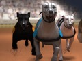 Permainan Balapan Greyhound secara online