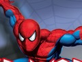 Permainan Spider prajurit  secara online
