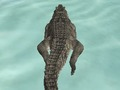 Permainan Simulator Pantai Buaya Pantai Hunt  secara online