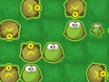 Permainan Katak terburu-buru  secara online