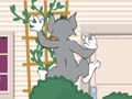 Permainan Tom und Jerry: Wasserbomben Wahnsinn secara online