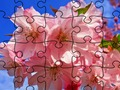 Permainan Puzzle: Bunga secara online