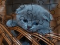 Permainan Puzzle: Kucing secara online