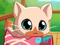 Permainan Kitty Cat Animal Pet saya  secara online