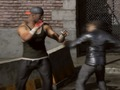 Permainan Raging Punch 3D secara online