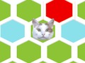 Permainan Jebak Kucing  secara online