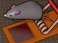Permainan Beri makan Mouse  secara online
