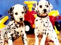 Permainan Puzzle Pasangan Anak Anjing secara online