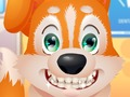 Permainan Dokter Gigi Anjing Lucu  secara online