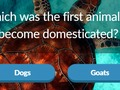 Permainan Trivia Hewan secara online