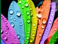 Permainan Warna dan Desain secara online