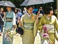 Permainan 100 kupu-kupu di Jepang  secara online