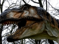 Permainan T-Rex Dinosaurus Jigsaw  secara online