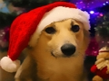Permainan Anjing Natal Lucu  secara online