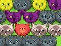 Permainan Kucing pop-pop secara online