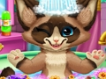 Permainan Mandi anak kucing secara online