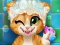 Permainan Pemandian Kucing Rusty  secara online