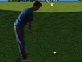 Permainan Flash Golf 3D  secara online