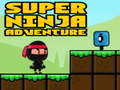 Permainan Ninja Petualangan Super  secara online