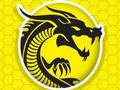 Permainan Kemarahan Kung Fu secara online