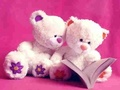 Permainan Seluncur Beruang Teddy Lucu secara online
