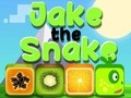 Permainan Jake Si Ular secara online