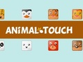Permainan Toush Hewan  secara online
