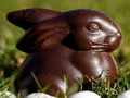 Permainan Jigsaw Kelinci Coklat  secara online