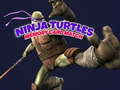 Permainan Pertandingan kartu memori Ninja Turtles  secara online