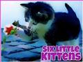 Permainan Enam anak kucing kecil secara online