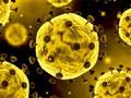 Permainan Seluncur Virus Corona secara online