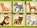 Permainan Memori Anjing  secara online