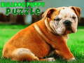 Permainan Teka-teki Anak Anjing Bulldog  secara online
