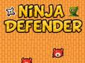Permainan Pembela Ninja  secara online