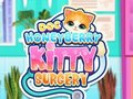 Permainan Bedah Doc HoneyBerry Kitty  secara online