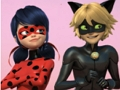 Permainan Puzzle Jigsaw Ladybug & Kucing Noir Ajaib  secara online