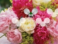 Permainan Pretty Blossom Wallpaper Melarikan diri  secara online