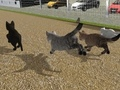 Permainan Jalankan Cat Cat Race  secara online