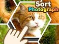 Permainan Mengurutkan Foto secara online