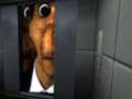 Permainan Obunga Nextbot Cari Perbedaan  secara online