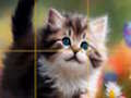 Permainan Puzzle Geser Anak Kucing  secara online