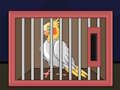 Permainan Lepaskan Burung Cockatiel  secara online