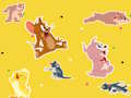 Permainan Pertunjukan Tom and Jerry Temukan!  secara online