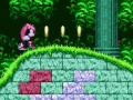 Permainan Perkasa & Ray Di Sonic 2  secara online
