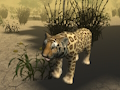 Permainan Simulator Berburu Cheetah Afrika  secara online