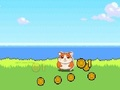 Permainan Pengklik Hamster Kombat  secara online