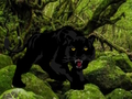 Permainan Melarikan diri dari Hutan Black Panther  secara online